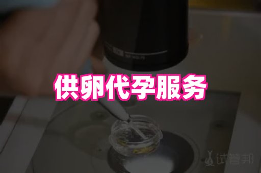 杭州助孕网站 2