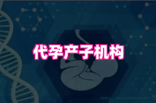 杭州助孕网站 3