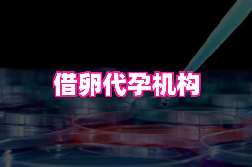 杭州助孕网站 4